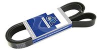 DT Spare Parts V-riem (5 PK, L: 1250 mm, W: 17,8 mm) 6.31508