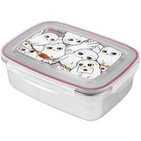 Harry Potter Lunchbox - Hedwig - meerkleurig