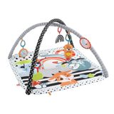 Fisher-Price 3-in-1 Muziek, Glim en Groei Gym - Tapis d'éveil - Multicolore
