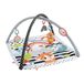 Fisher-Price 3-in-1 Muziek, Glim en Groei Gym - Baby Gym - Multicolour
