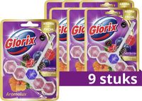 Glorix WC blokjes Wild Berries & Hibiscus Oil 9 stuks Voordeelverpakking