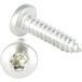 Vis Express Vis Tôle Tête Cylindrique Large Tcl 3.5x13 Inox A2 Torx T10-1 Pièce