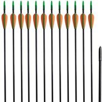 vidaXL 12x Flèche d'Arc Recourbé Fibre de Verre 30 0,6 cm pour Tir à l'Arc