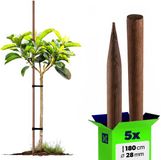 KADAX Klimhulp van hout, 5 stuks, 28 mm x 180 cm