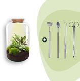 Trendhero B.V. Bol DIY terrarium - Botanical Sven XL - 43 cm -