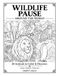 Wildlife Pause: Around the World