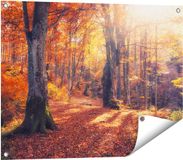 Gards Poster de jardin Forêt d'automne orange avec soleil - 80x60 cm - Toile de jardin - Décoration de jardin - Décoration murale extérieure - Peinture de jardin