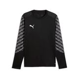 teamLIGA26 PUMA teamLIGA26 GK Jersey LS