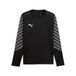 teamLIGA26 PUMA teamLIGA26 GK Jersey LS