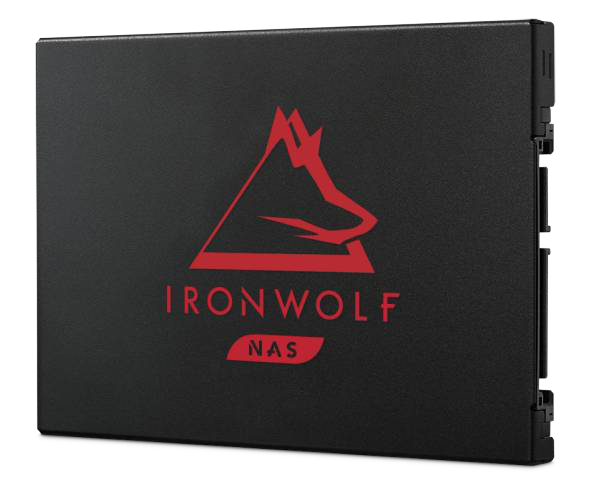 Seagate IronWolf 125