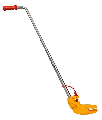 998368_6