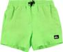 Quiksilver Everyday Volley Youth 13 Zwemshorts voor jongens Wit 164/170