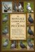 IL Independently Published Il Manuale Completo del Piccione