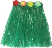 Merkloos / Sans marque Hawaii Hawaii thema verkleed rokje - raffia - groen - 40 cm - rieten hula rokje voor volwassenen