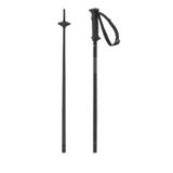 Salomon Polar Access Ski Stokken Zwart 115 cm