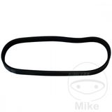 CONTITECH 4PK592ELAST V-riem