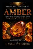 The Ultimate Guide to Gemstones-The Ultimate Guide to Amber