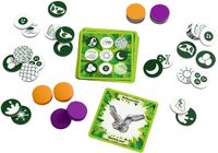 HABA Spiel Tiere der Welt - Bingo