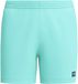 Speedo Eco Prime Leisure 16 Zwemshort Blauw-blauw XXL