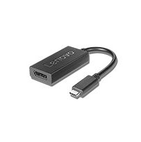 Lenovo USB-C naar DisplayPort Adapter - 0.2m - Zwart