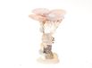 HBX natural living Kandelaar Schelp Gallery H16cm