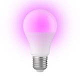 Alecto SMARTBULB10 Smart Wi-Fi LED Ampoule couleur E27 Blanc
