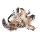 Rayher hobby kleine decoratie dons veren/veertjes - 160x stuks - zwart/wit/bruin mix