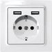 Eltako Prise de courant avec contact de terre Insert Blanc, Blanc (RAL 9016)