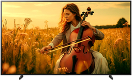 Sony K-55XR5 / QD-Mini LED screen / 55 inch / 2025