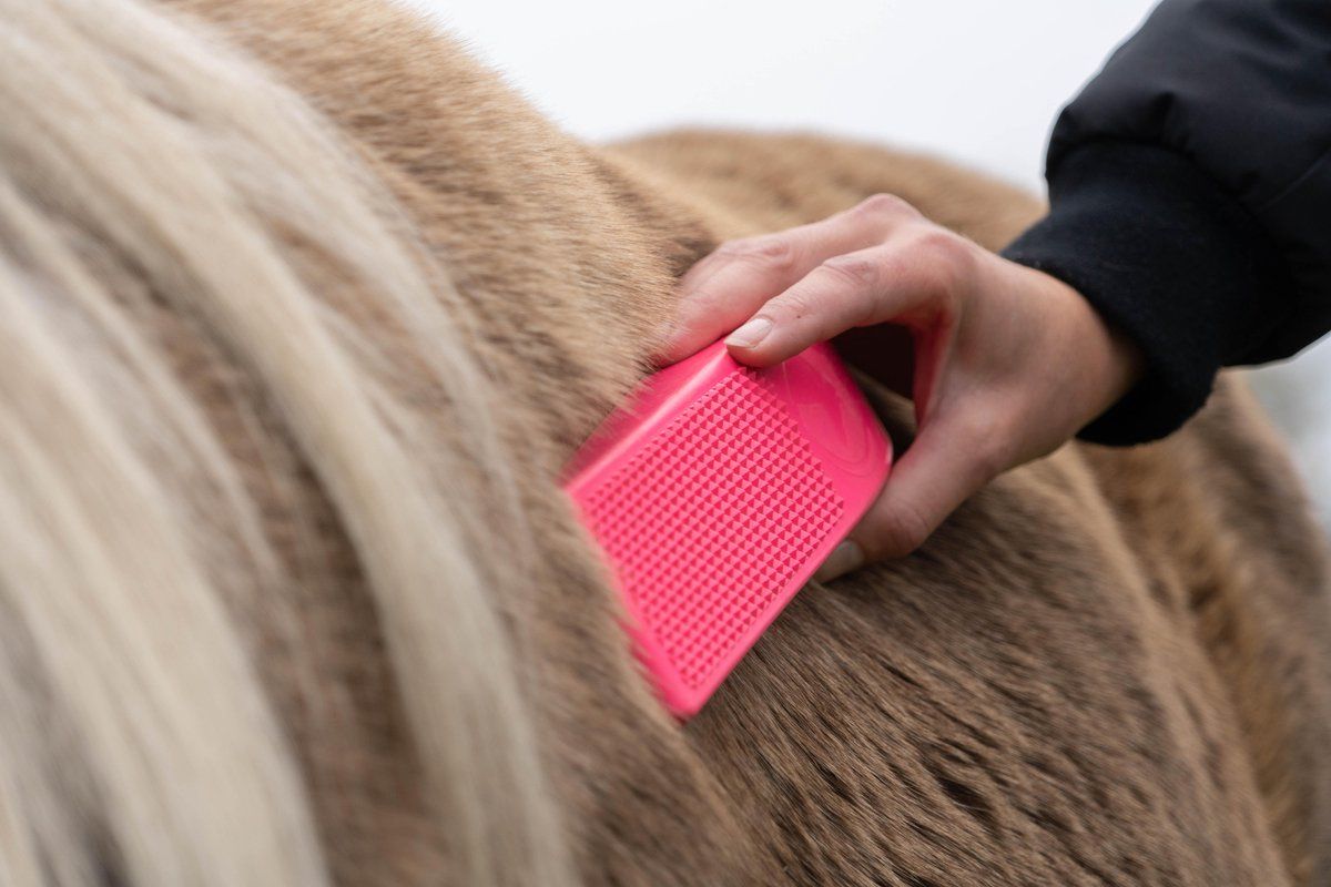 Excellent Horse Grooming Borstel Zwart One Size Roze