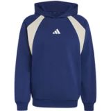 Adidas Hoodie Seasonal Essentials
