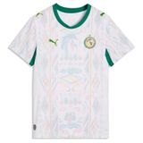 PUMA Tricot 'Senegal 2026' lichtblauw / groen / lichtoranje / wit