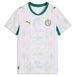 PUMA Tricot 'Senegal 2026' lichtblauw / groen / lichtoranje / wit
