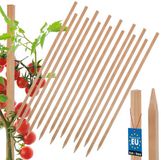 KOTARBAU® 15 st Tomatenstokken, Plantenstok, Beukenhout, 50 cm, Natuurlijk, Plantenstokken, Plantensteun, Houten Paaltjes, Houten Stokken, Tuinbenodigdheden
