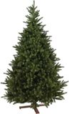 Our Nordic Christmas Kentucky deluxe - sapin de noël artificiel avec éclairage vert 1,83m x 1,14m