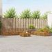 vidaXL - Bank loungeset - 7 zitplekken - Naturel - Massief Acacia Hout