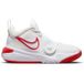 Nike Basketbalschoenen Team Hustle D 11