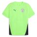 PUMA Maillot d’entraînement Manchester City Homme, Accessoires, Jaune, S