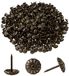 IPEA Behang nagels model bloem - 200 stuks - decoratieve klinknagels voor meubels stoel - Made in Italy - metalen naalden - kleur antiek goud - 11 x 12 mm