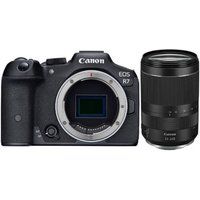 Canon EOS R7 + RF 100mm F2.8 L Macro IS USM