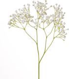Sans marque Fleurs artificielles Gypsophila branches blanc 58 cm