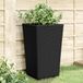 Maison Exclusive - Jardinières, 2 pièces, noir, 32,5 x 32,5 x 57 cm, plastique PP