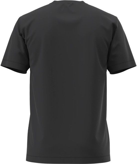 The North Face Evolution Simple Dome heren T-shirt zwart - Maat L