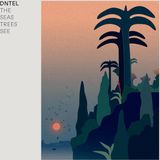 Konkurrent Dntel - The Seas Trees See (LP)