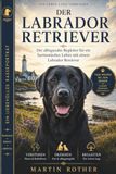 Der Labrador Retriever: Vom Welpen bis zum Senior