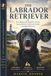 Der Labrador Retriever: Vom Welpen bis zum Senior