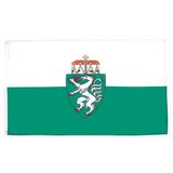 AZ FLAG Vlag Stiermarken 90x60 cm