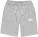 Quiksilver Easy Day Korte Sportbroek Grijs