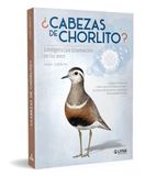 ¿Cabezas Bol Cabezas de chorlito. Inteligencia e innovación en las aves