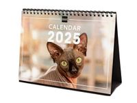 Finocam - Internationale bureaukalender 2025, 1 maand per pagina, januari 2025 – december 2025 (12 maanden) internationale katten